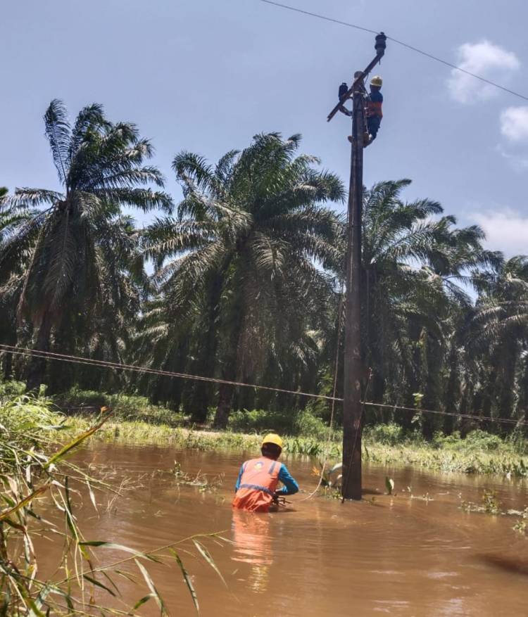 PLN Berhasil Pulihkan Kelistrikan di Mandailing Natal, 1.220 Listrik Pelanggan Kembali Menyala