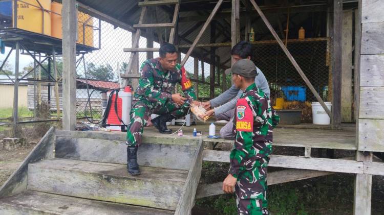 Peduli Dengan Perekonomian Warga, Babinsa Koramil 1710-03/KK Beri Penyuluhan Warga Binaan Cara Beternak Ayam Bertelur