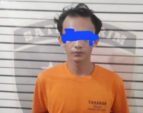 Maling 3.000 Butir Telur Ayam Diringkus, 3 Pelaku Lagi Buron