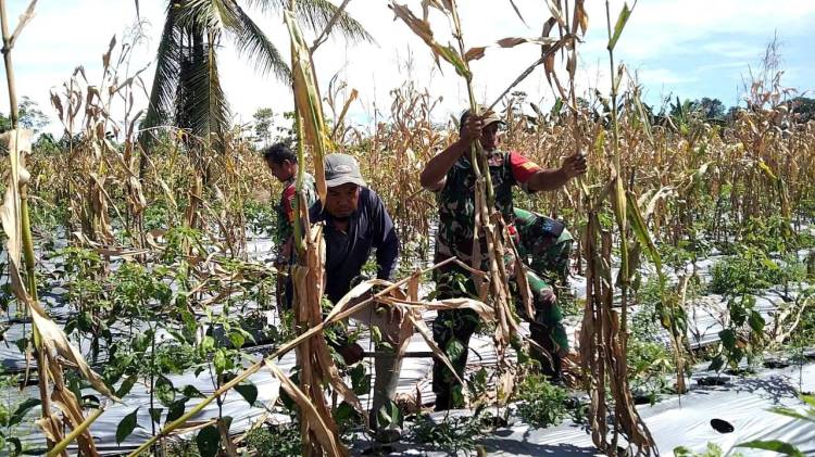 Babinsa Koramil 1710-07/Mapurujaya Rutin Komsos Bersama Warga Binaan