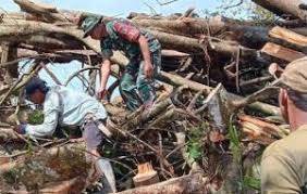 Babinsa Koramil Mapurujaya dan Warga Gotong Royong Bersihkan Pohon Tumbang