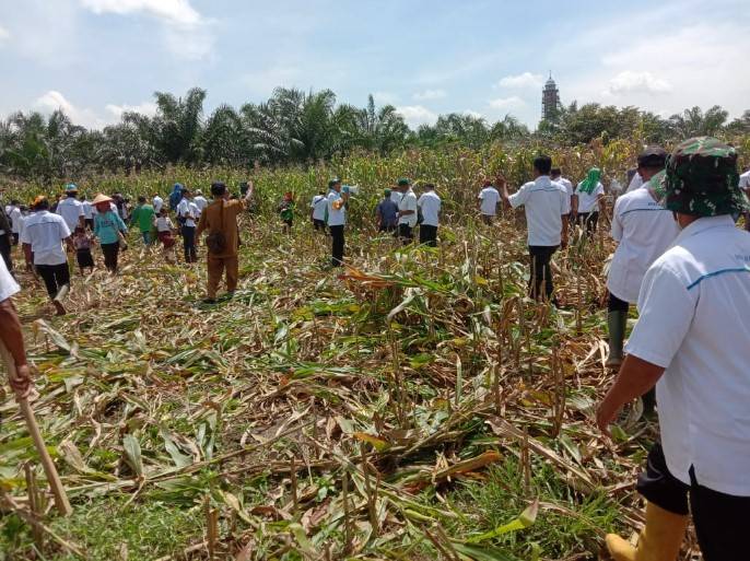 Pemprov Sumut Gelar Deklarasi Pilkada Damai, Undang Bobby Afif Nasution dan Edy Rahmayadi