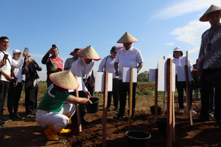 Bukan Hanya Bacot", Kalapas Pancur Batu Realisasikan Program Ketahanan Pangan Pemasyarakatan