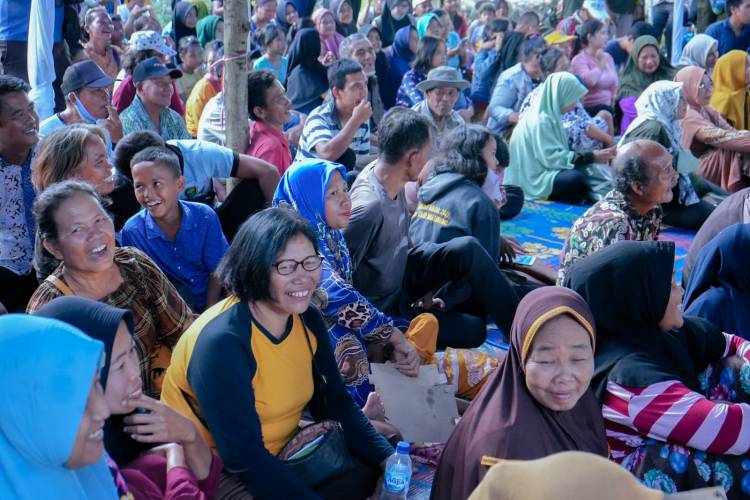 Panen Raya Padi di Persawahan Mabar Hilir