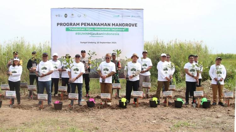 Sambut Hari Maritim Nasional, SPMT Grup Perkuat Ekosistem Pesisir Kalteng dengan 30.000 Bibit Mangrove