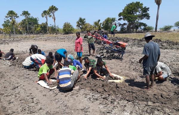 Satgas Pamtas RI-RDTL Yonif 132/BS, Bangun Kolam Pembibitan Ikan .