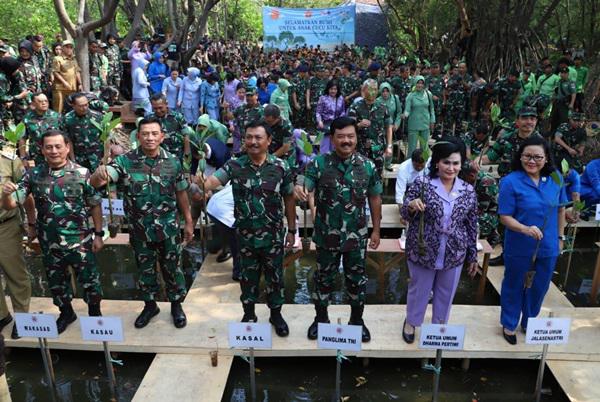TNI Tanam 300.074 Mangrove dari Sabang sampai Merauke