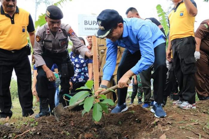 Penanaman Pohon, Bupati Ajak Aparatur dan Masyarakat Jaga Hutan