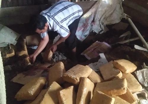BNN Sumut Sita 143 Kg Ganja Dikubur Dalam Tanah