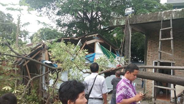 DPRD Minta Dinas Pertamanan Bertanggungjawab Insiden Pohon Tumbang Timpa Warung di Sukamulia