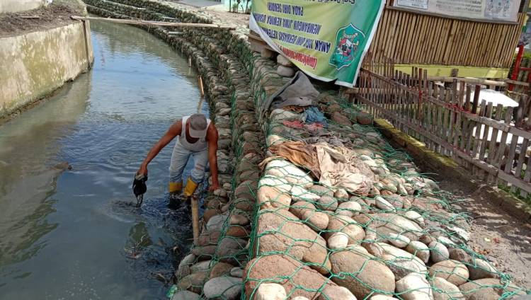 Berikan Keindahan Bronjong Sungai, Masyarakat Menata Pinggiran Sungai Dengan Bunga Bunga Indah Agar Terlihat Lebih Asri