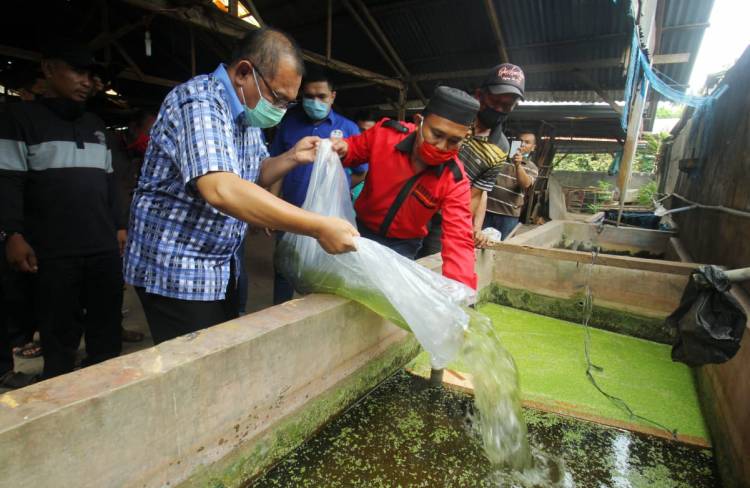 Akhyar dan Dua Relawannya Bantu 1.000 Bibit Ikan ke Warga di Medan Deli