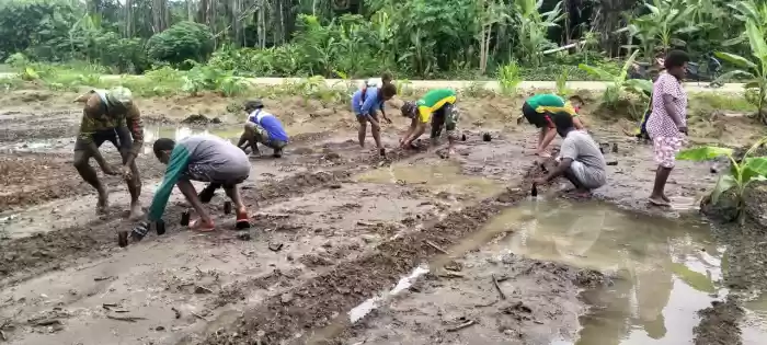 Satgas Yonif MR 413 Kostrad Ajarkan Warga Tanam Semangka di Kampung Mosso