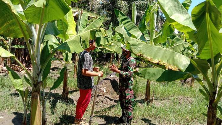 ,Personil Satgas Kodim 0201/BS Selalu Bagikan Masker Untuk Warga Kelurahan Tanah Enam Ratus