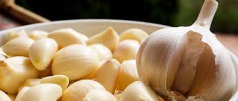 Sering Alami Hipertensi, ini Tiga Jenis Herbal Ampuh Mencegahnya