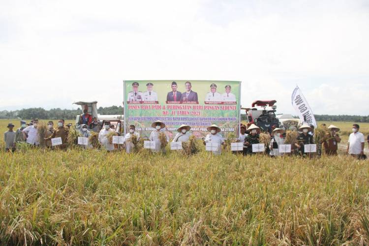 Lakukan Panen Raya Padi dan Peringatan Hari Pangan Sedunia ke - 41 Tahun 2021, ini Harapan Edy Rahmayadi