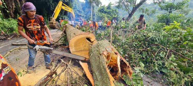 Pembersihan Material Longsor Sibolangit Selesai