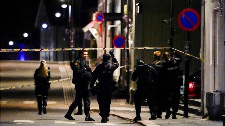 Norwegia Diserangan Busur dan Panah, Tewaskan 5 Orang