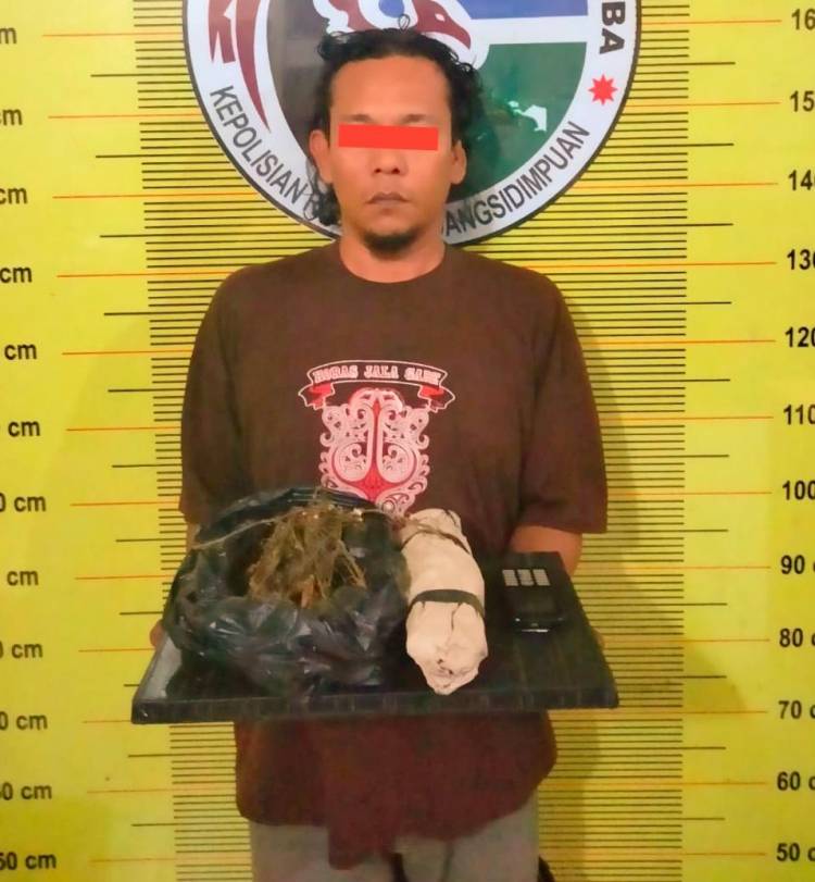 Satu Warga Padangsidimpuan Akibat Miliki Barang Haram Ditangkap Petugas Di Wilayah Tapsel