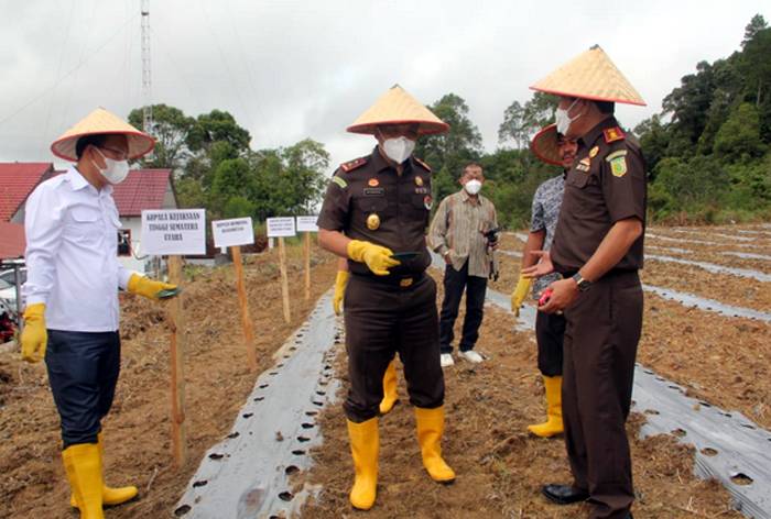 Kajati Sumut Apresiasi Inovasi Kejari Humbahas Berdayakan Petani Menanam Tanaman Hortikultura