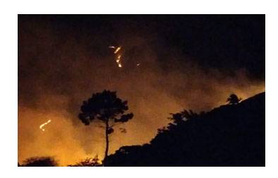 Hutan Pinggiran Danau Toba Terbakar