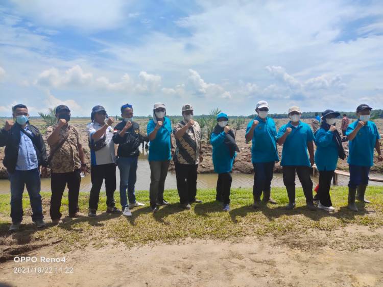 Kebun TIU Laksanakan Tanam Perdana Kelapa Sawit 149 Hektare