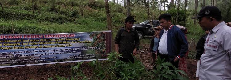 Tim Relawan  KTH Simalungun Ajak Warga Tanam Bibit Pohon di Sekitar Hutan Danau Toba