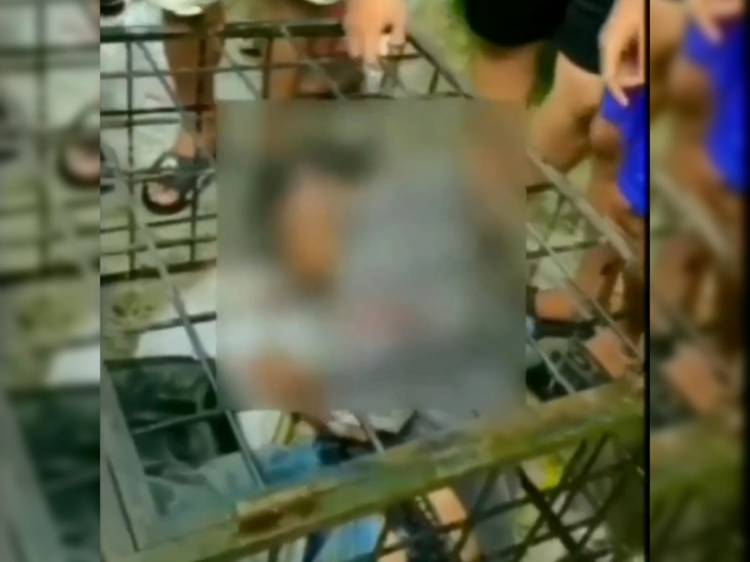 Warga Masukkan Pencuri ke Dalam Besi Kerangkeng