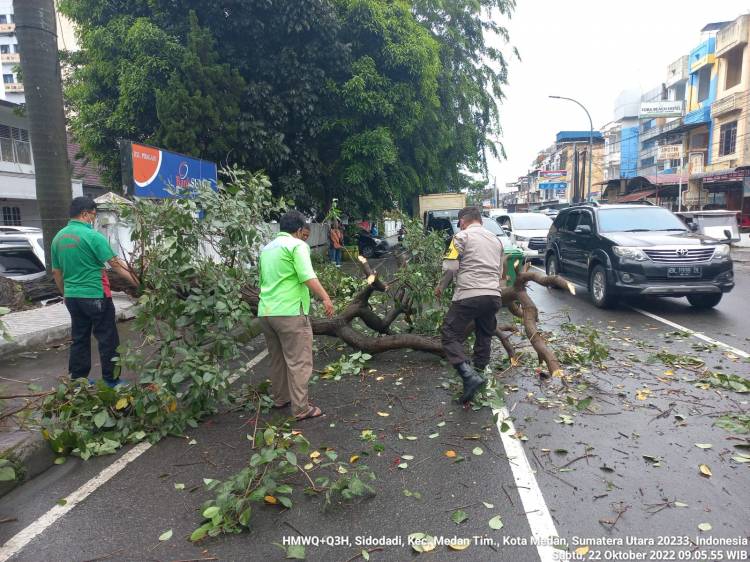 Polsek Medan Timur Evakuasi Pohon Tumbang