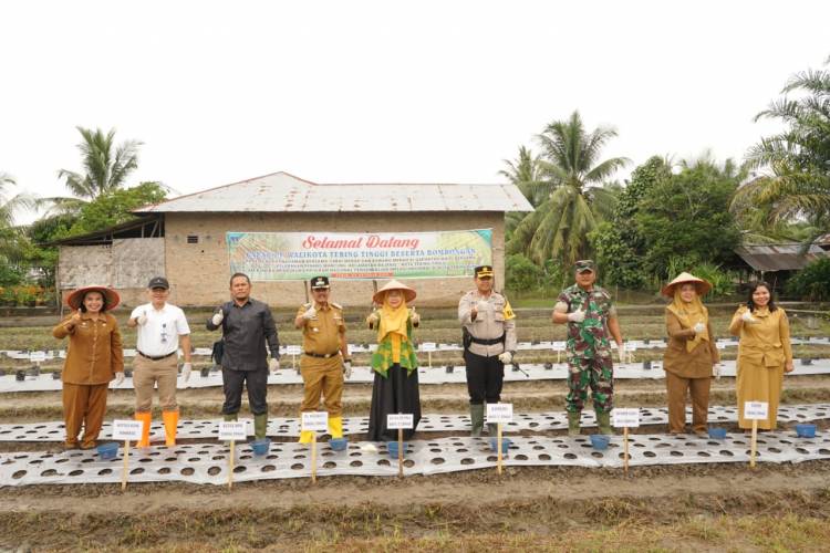 Guna Pengendalian Inflasi, Walikota Canangkan Gerakan Tanam Cepat Panen