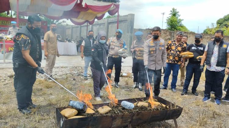 Polrestabes Musnahkan 84 Kg Ganja