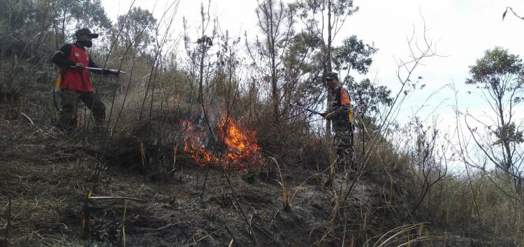 Meski Terbatas Peralatan, Babinsa Koramil 02/TP Bantu Warga Padamkan Api di Sipiso Piso
