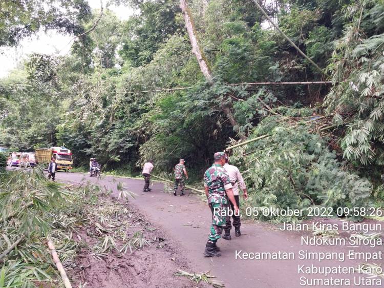 Koramil 04/SE Dan Polsek Simpang Empat Gerak Cepat Menangapi Laporan Masyarakat Terkait Kayu Yang Mau Tumbang
