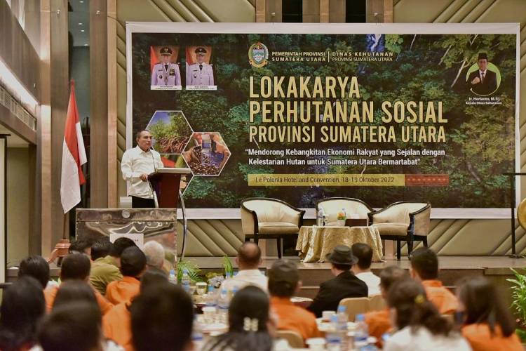 Gubernur Sumatera Utara Edy Rahmayadi Terus Perkuat Perlindungan Hutan