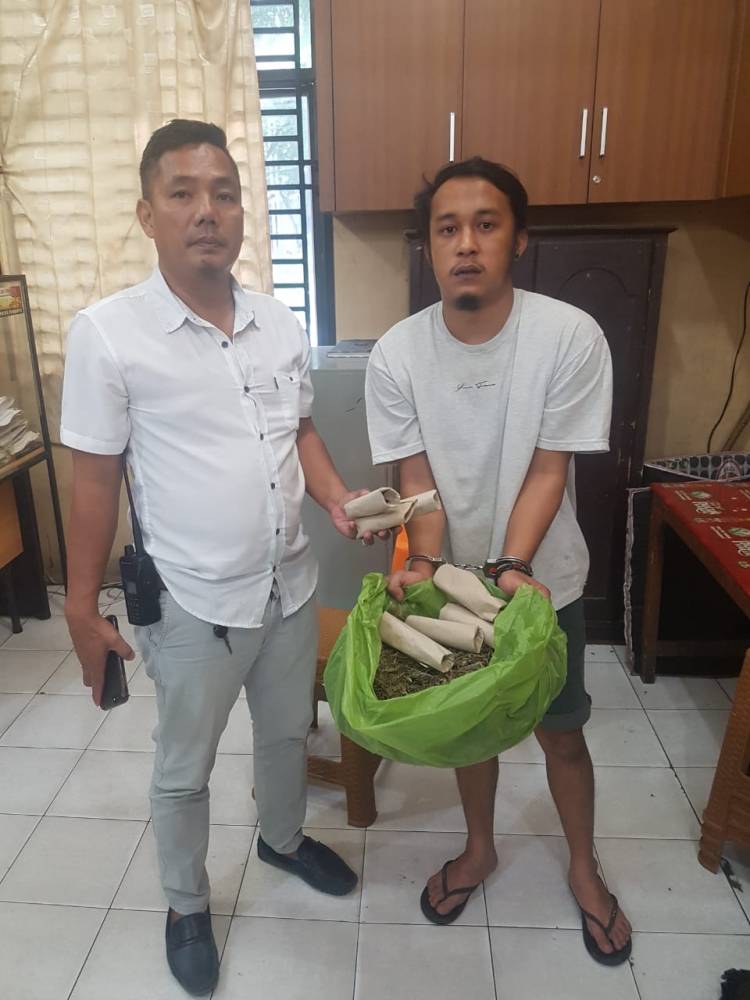 Reskrim Medan Timur Ciduk Pengedar Ganja di Kos