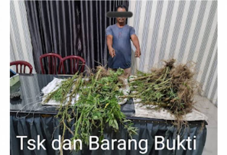 Polres Tanah Karo Amankan Ganja Dua Goni di Sagan Tanah