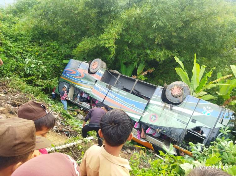 Bus ALS Terjun ke Jurang, 1 Penumpang Tewas