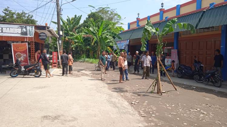 Bentuk Protes Kepada Kades, Warga Tanam Pohon Pisang Di Badan Jalan.