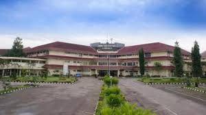 Penanganan Stroke di RS Adam Malik, Trombolisis Hingga Mechanical Thrombectomy