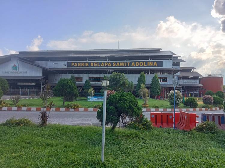 Pimpinan PT Perkebunan Nusantara IV  Regional II Bantah Adanya Berita Rekrutmen yang Beredar di Sosmed