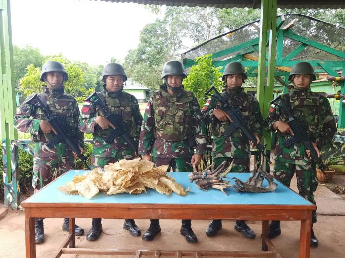 Satgas Pamtas RI-PNG Yonif 411Kostrad Amankan Gelembung Ikan dan Tanduk Rusa Ilegal