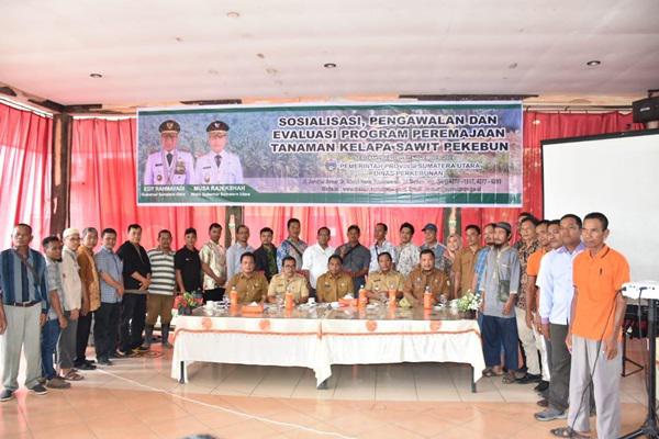 Pemkab Sergai Sukseskan Program Peremajaan Kelapa Sawit Perkebunan Rakyat