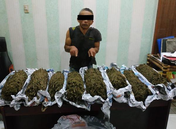 Ngaco Ginting Satu Ini...Jualan Kok Daun Ganja, Bagus Daun Pisang, Ting !