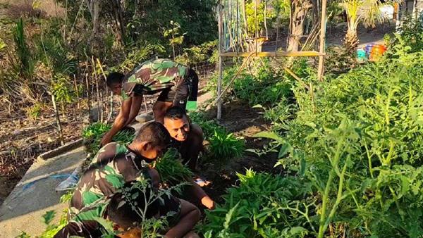 Satgas Pamtas RI-RDTL Yonif 132/BS, Bagikan Sayur-Sayuran ke Masyarakat Perbatasan 