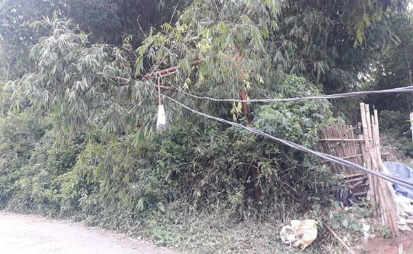 Pak PLN, Minta Tolong Lah, Tiang Lampu Jalan Kami  Ambruk
