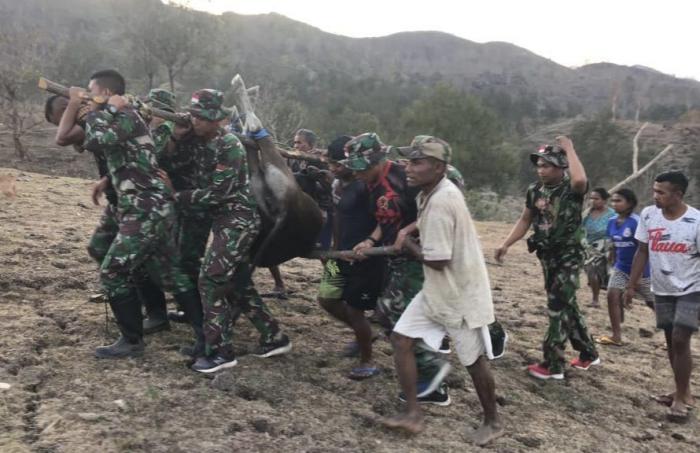  Satgas Pamtas RI-RDTL Yonif 132/BS, Dengan Sigap Bantu Evakuasi Ternak Warga Yang Terjatuh di Jurang