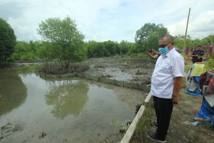 Akhyar Sebut Pengembangan Wisata Mangrove di Medan Marelan