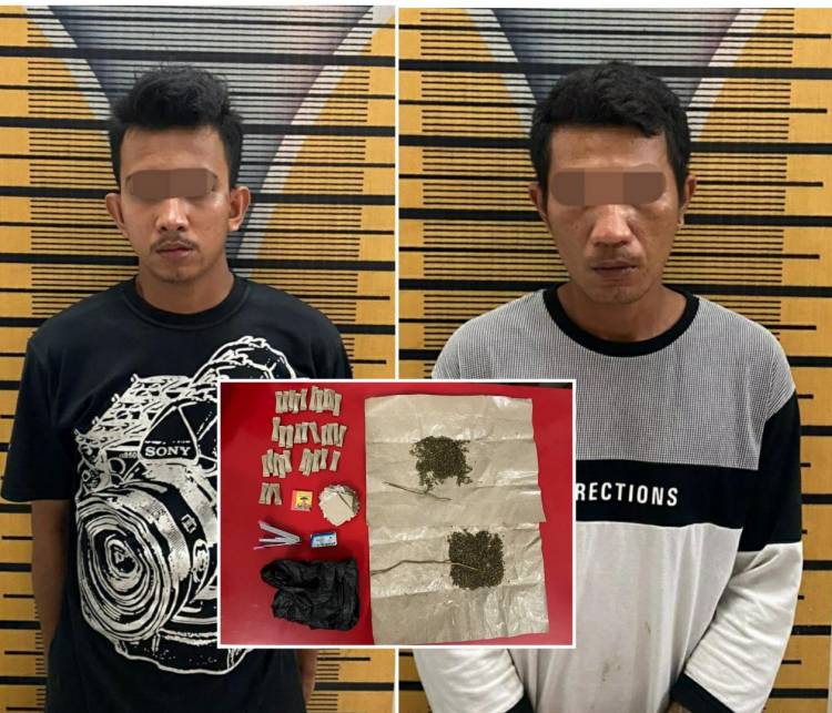Simpan Ganja Di Gubuk 2 Pria Ini Nyangkut Dalam Sel