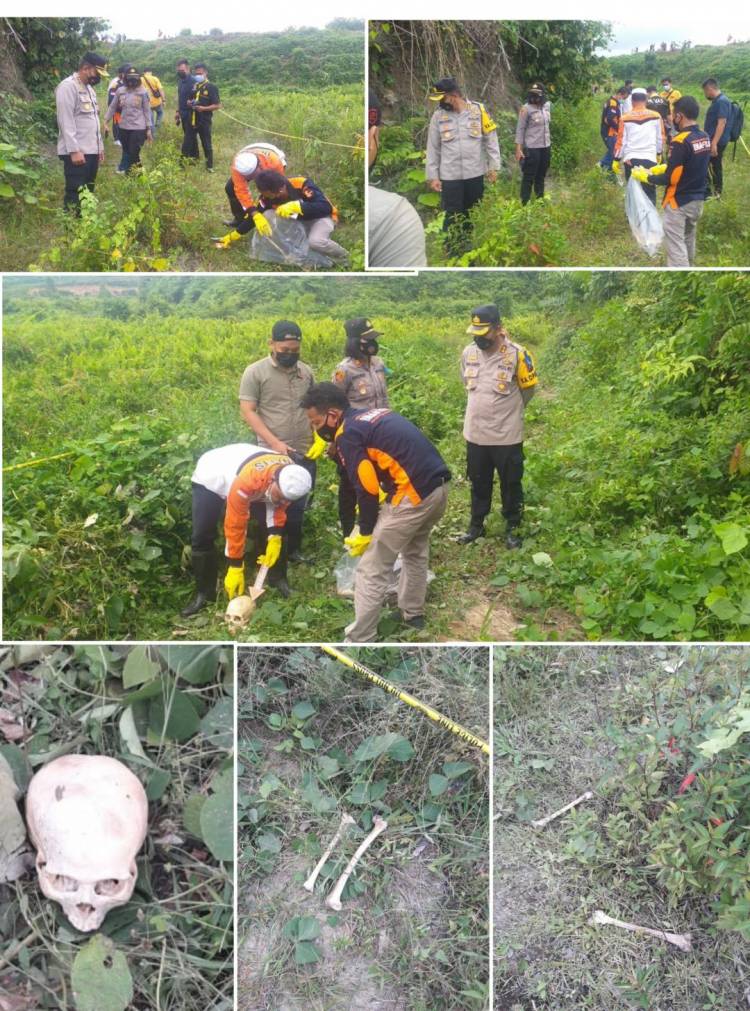 Pencari Rumput, Temukan Tulang Belulang Manusia