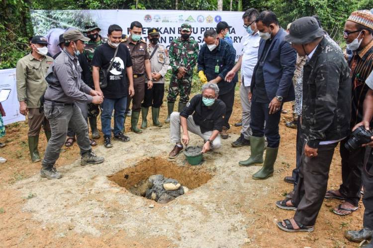 Cegah Kepunahan, Suaka Badak Sumatra Dibangun di Aceh Timur